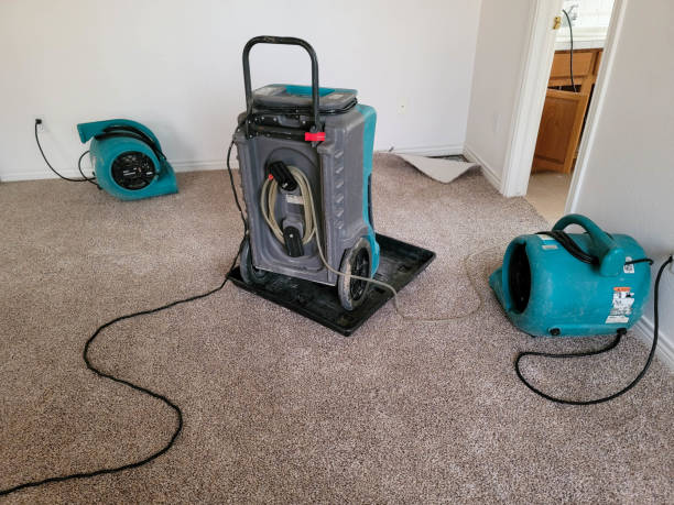 Carpet water damage restoration in Sandstone, MN