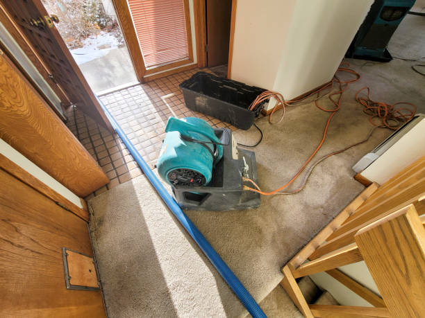 Best Basement water damage restoration  in Sandstone, MN