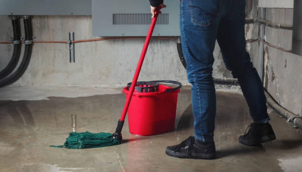 Best Flooded house restoration  in Sandstone, MN