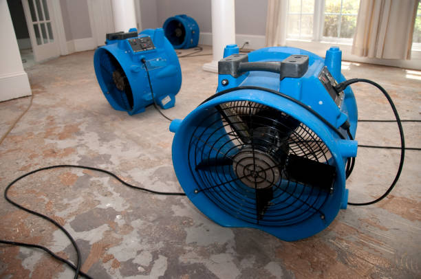 Best Professional water damage repair  in Sandstone, MN
