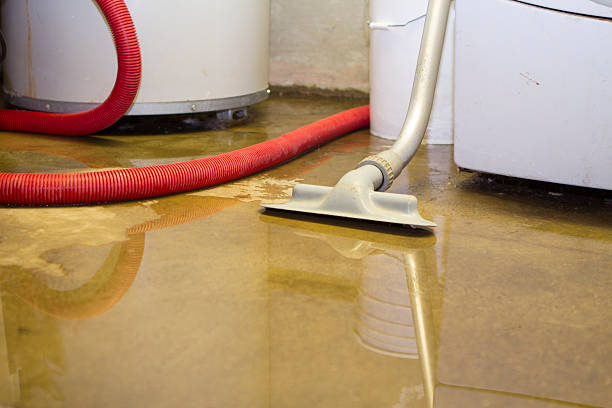 Best Sewage cleanup and water damage restoration  in Sandstone, MN