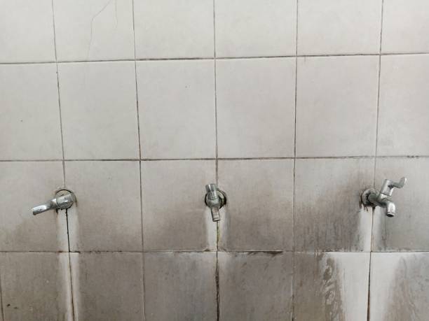Best 24-hour water damage restoration  in Sandstone, MN