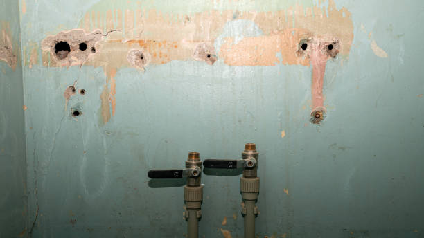 Best Mold removal after water damage  in Sandstone, MN