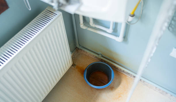 Best Flood restoration services  in Sandstone, MN